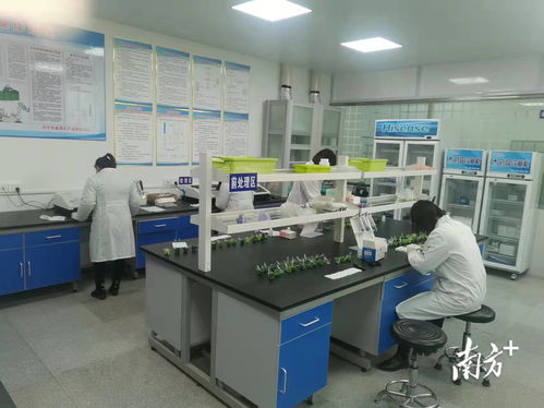 守護“菜籃子”安全，助力放心消費——興寧市場監管局食用農產品快檢中心正式啟用